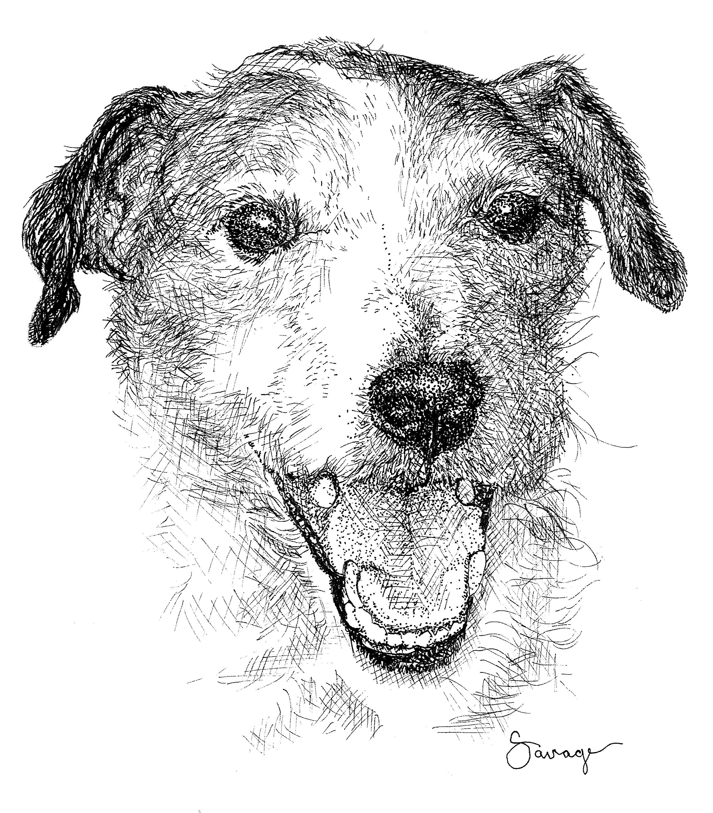 Buster