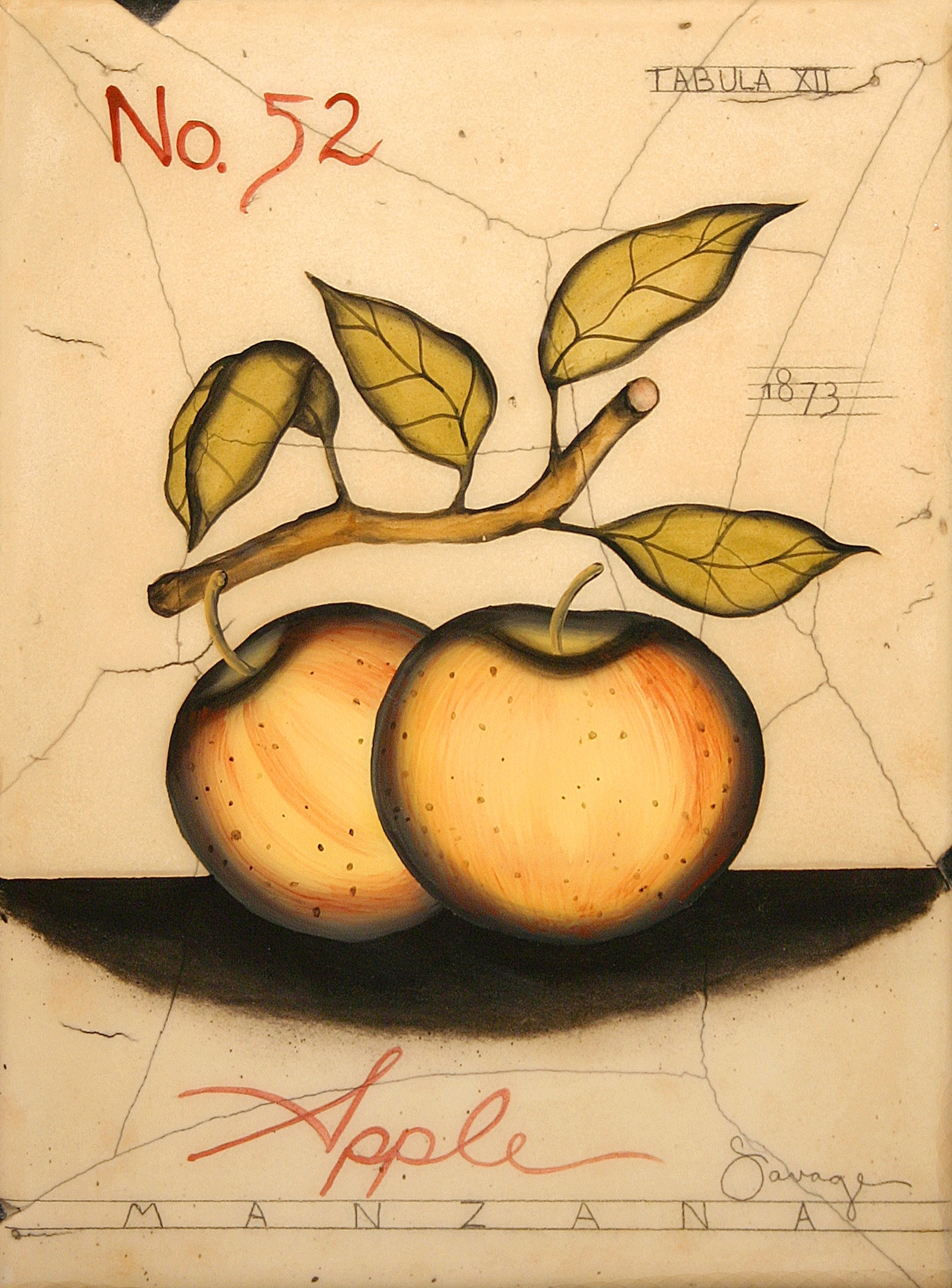 No. 52 Golden Apple