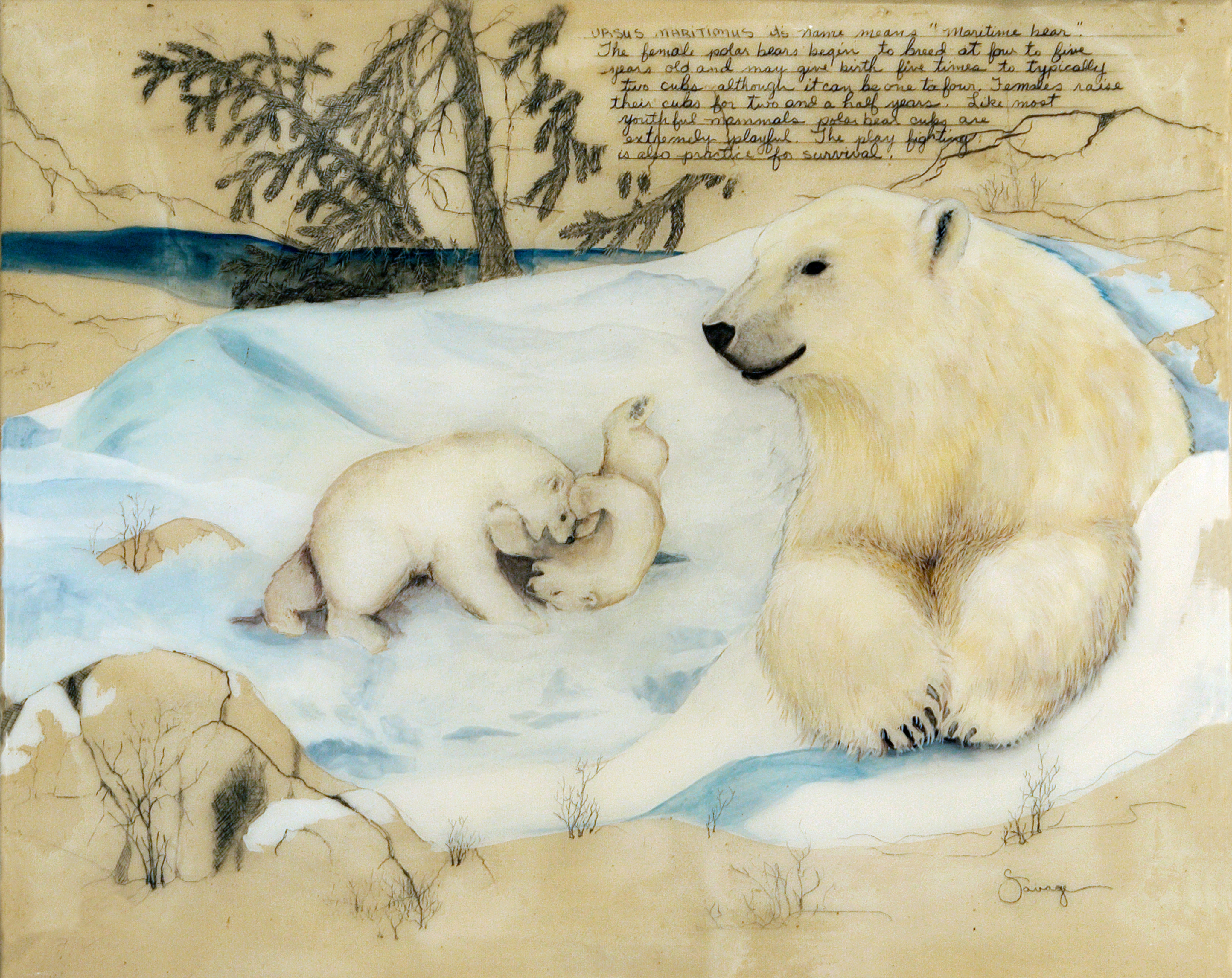 Polar Bear with Cubs