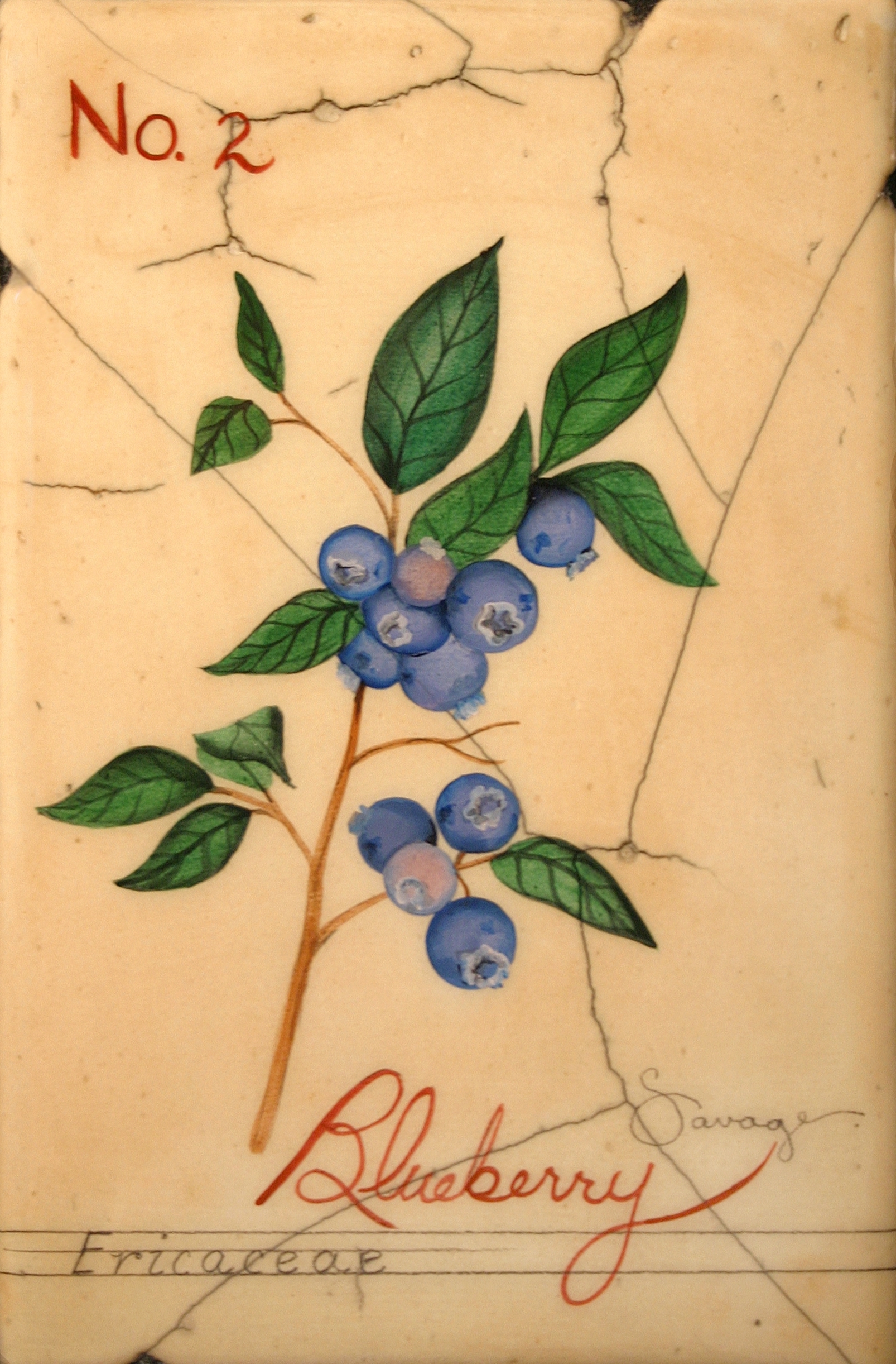 No. 2 Blueberry