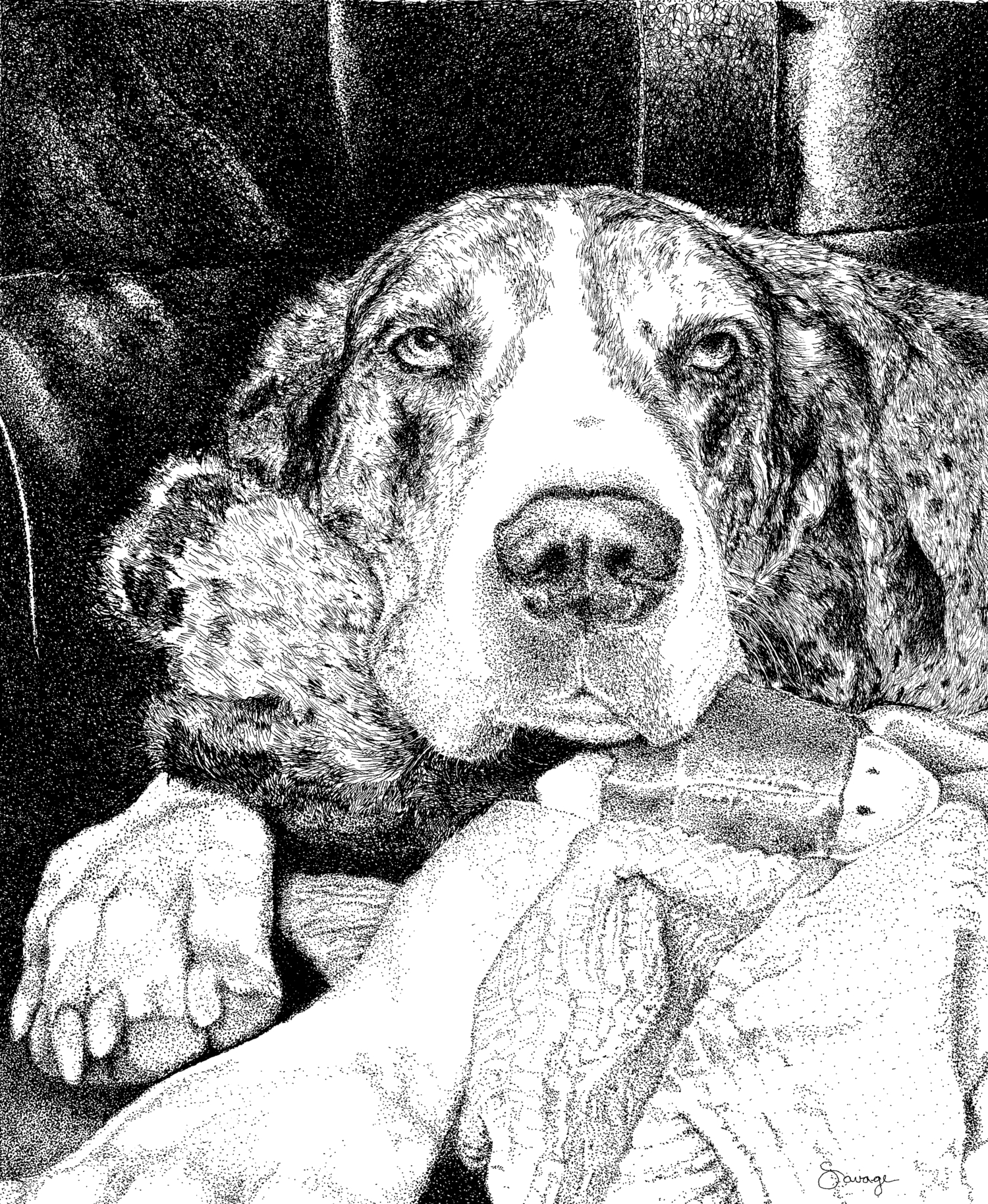 Peppermint Patty, Great Dane