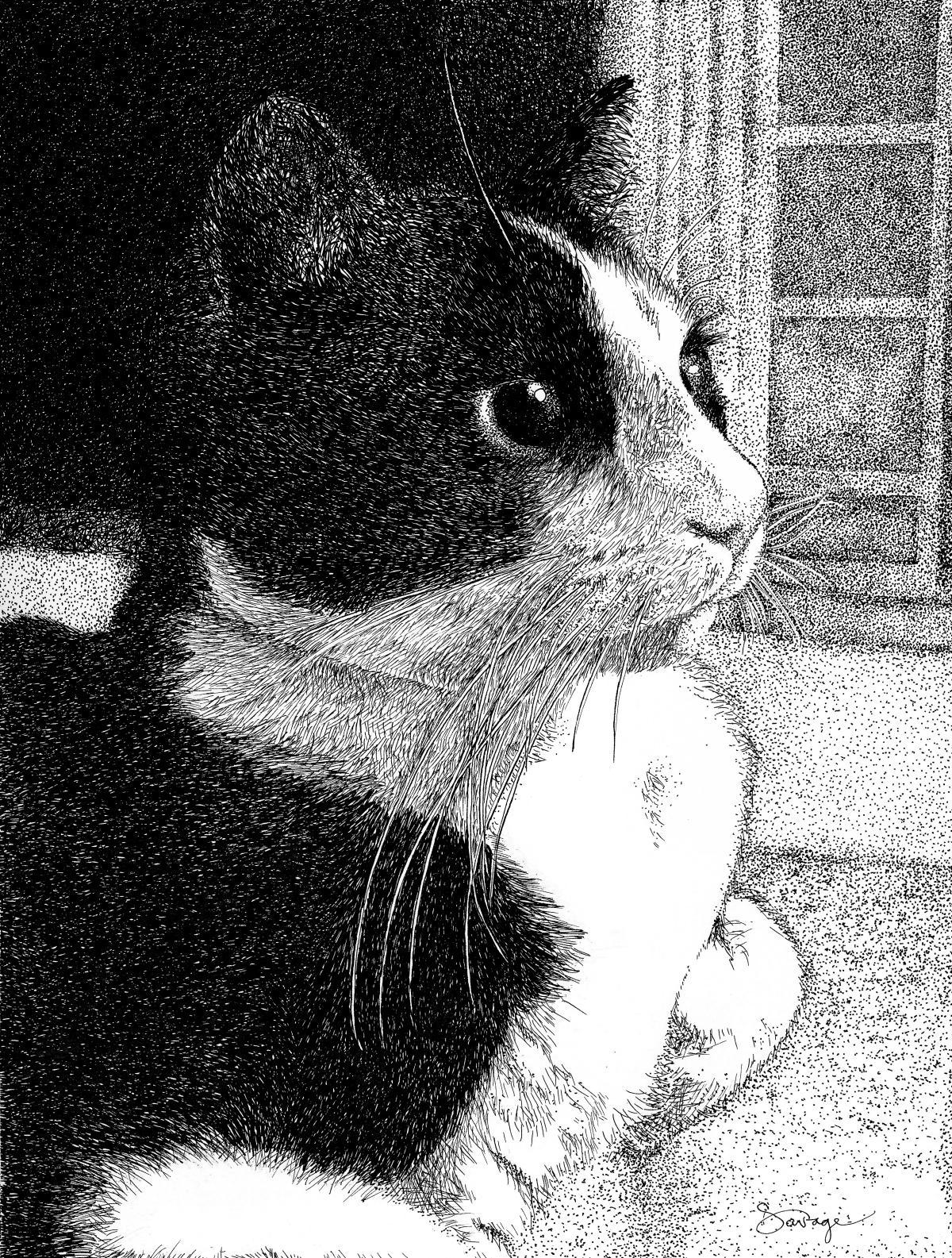 Biskit