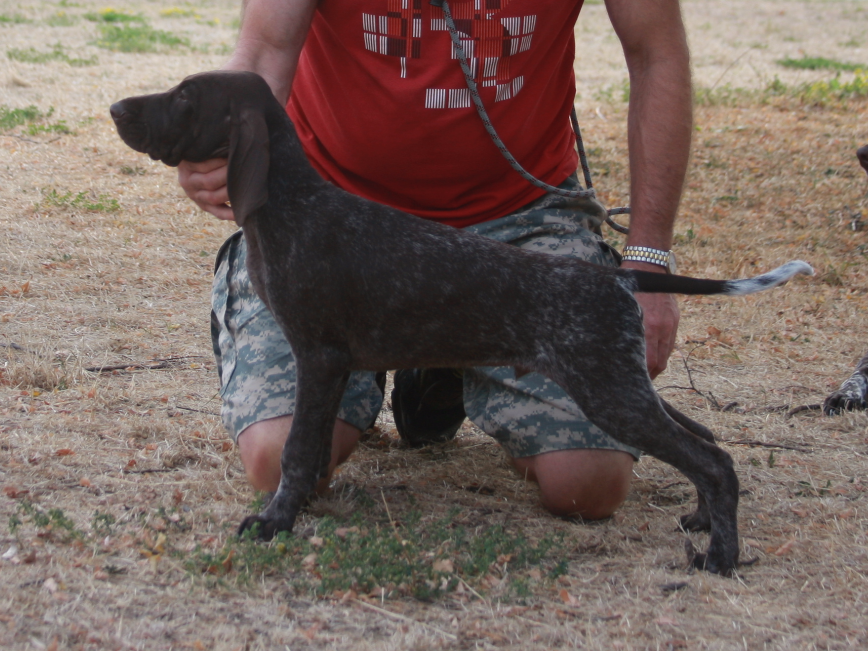 HERMES 3 MONTHS