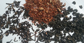 What Makes Tea Healthy