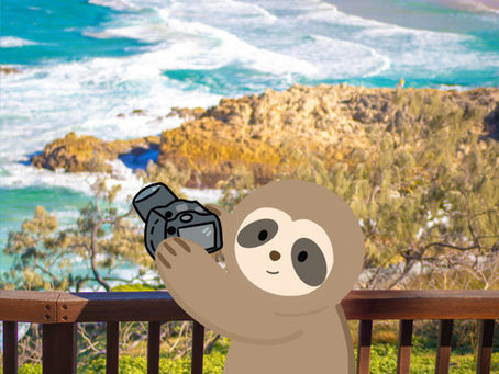 🌿 Tatta’s Blog - Little Sloth 🌿