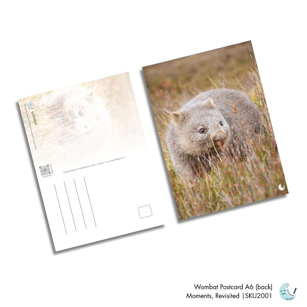 Thumbnail: Wombat Australia | "Moments, Revisited" A6 Postcard Series | C's Dream Design
