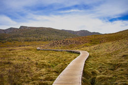 Cradle Mountain-Lake St Clair National Park