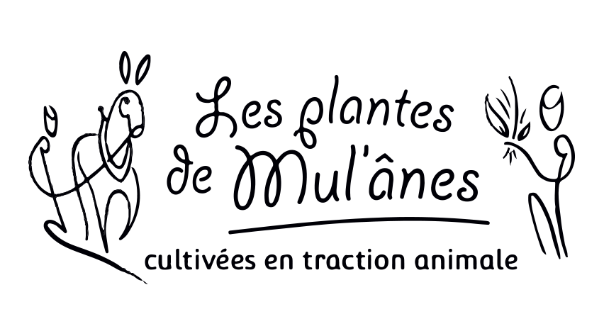 logo_MAne2.gif