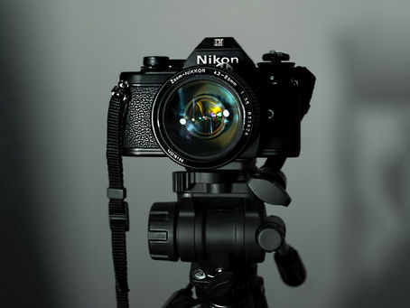 Explorando o mundo através das lentes da câmera de Beatriz Barata