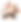 Lotus-2.png