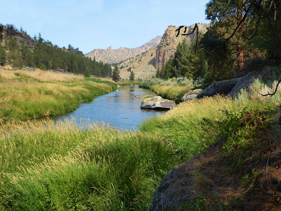 Thumbnail: Smith Rock Heron