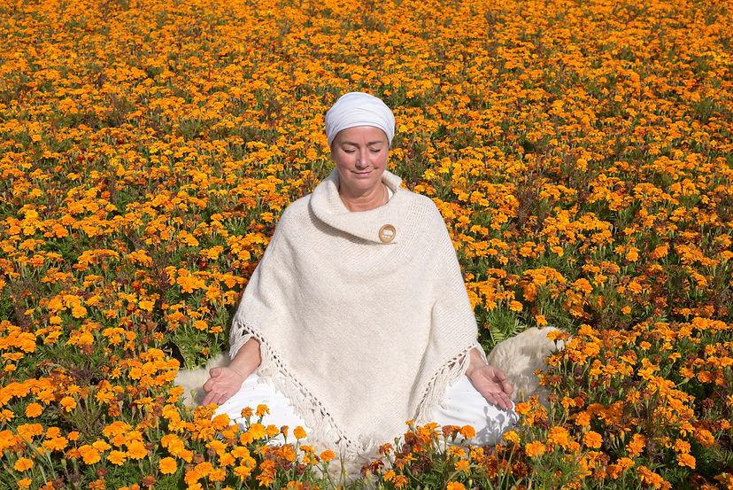 Bloemenveld.jpg