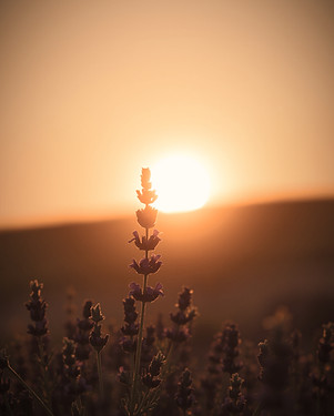 serhii-tyaglovsky-U2Ug1A6tQew-unsplash_e