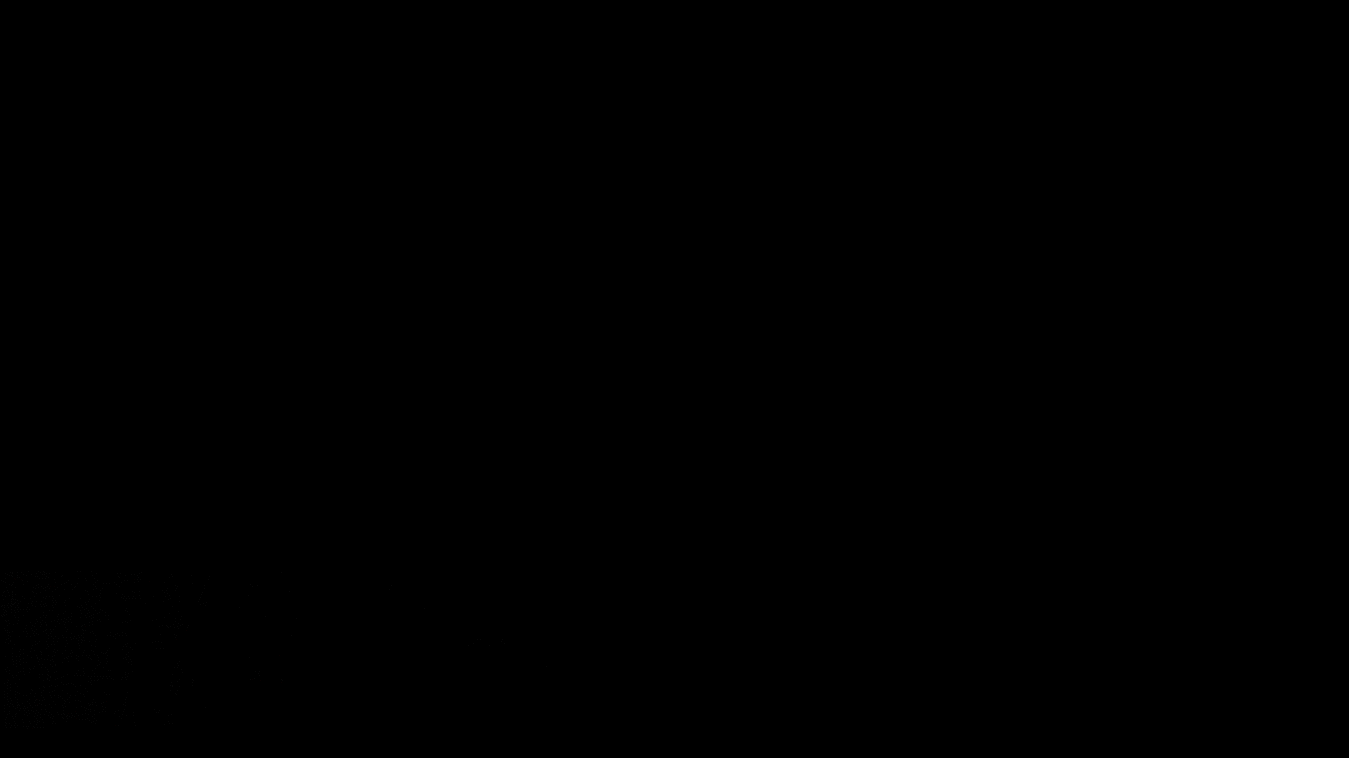 LOWER_FIGHTERINFO.gif