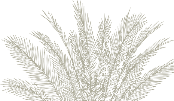Asset 6_300x_edited.png