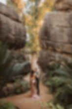 S + A - Somethingswildweddings-429 (2).jpg