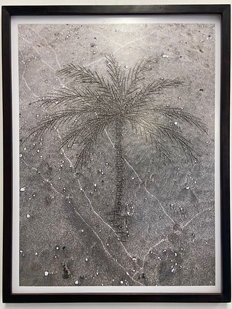 Palm - sand drawing_edited.jpg