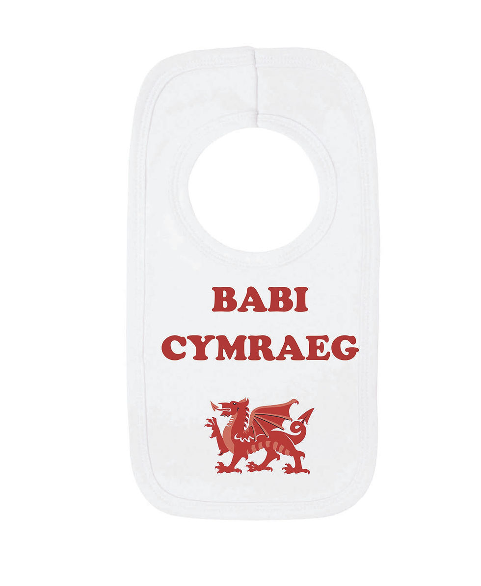 Babi Cymraeg, Wesh Baby Bib