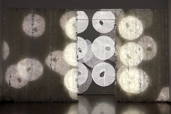 Alina Aldea_cells_01-2 (1).jpeg