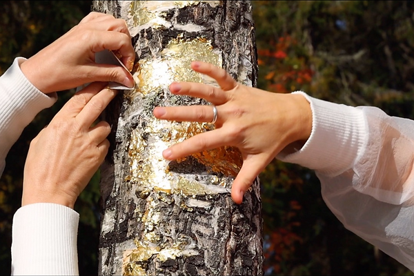 Locus_Gilded trees (1)_edited.png
