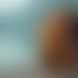 Os 10 Itens Essenciais para Levar na Mala para Paraty