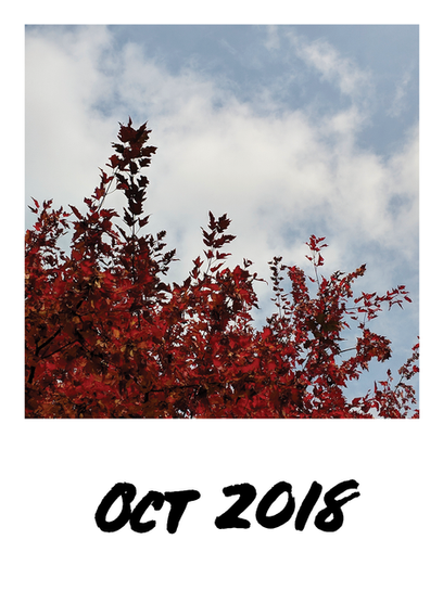 Oct 2018 1.png