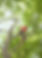 Screenshot 2023-02-23 at 4.45_edited.jpg