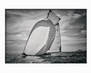 Les Voiles d'Antibes