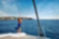 lowBonVoyage7035.jpg