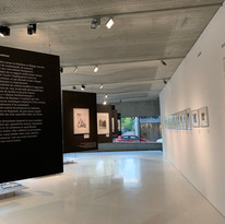 Bauhaus_Hausbau-QPN2019©MAPDL