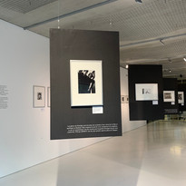 Bauhaus_Hausbau-QPN2019©MAPDL