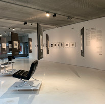 Bauhaus_Hausbau-QPN2019©MAPDL
