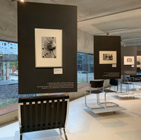 Bauhaus_Hausbau-QPN2019©MAPDL