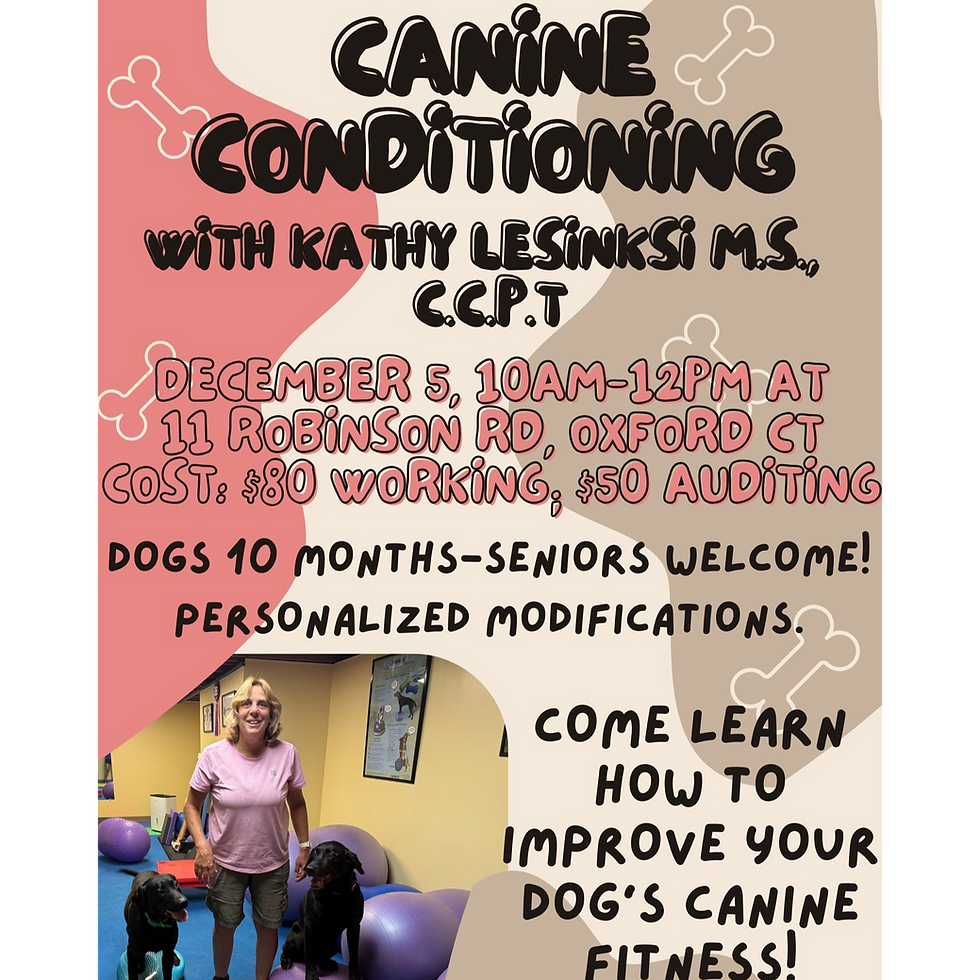 Canine Conditioning with Kathy Lesinksi M.S. C.C.P.T.