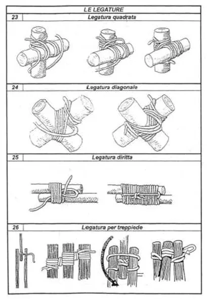 Nodi E Legature Gruppo