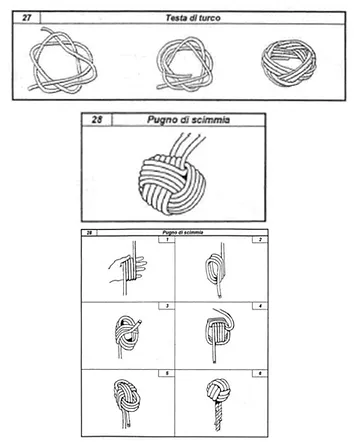 Nodi E Legature Gruppo