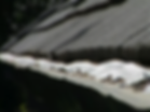 p2.webp
