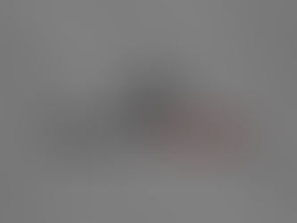 Ricardo Nunes comenta sobre ampliação da Faixa Azul