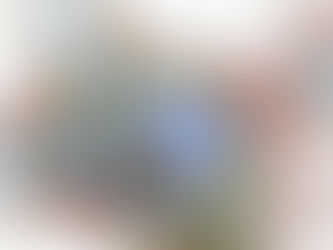 COM AUMENTO DE CASOS DA VARIANTE ÔMICRON E O VÍRUS H3N2