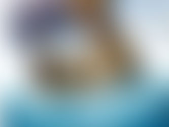 The Books and the Movies: Narnia and Middle Earth