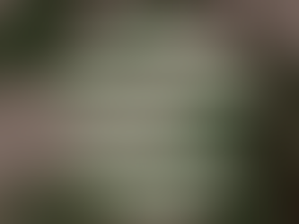 Liderar é, antes de tudo, ser exemplo vivo e verdadeiro do que se espera da sua equipe e dos seus resultados.