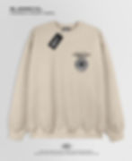 Miniatura: BLESSCOL | CREWNECK ERROR 404 VISION