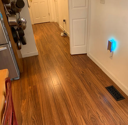 joe polichettis floor (4).JPEG