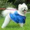 Thumbnail: Top Selling Dog Accessories Designer Dog Hoodie Pet Dog Hoodie Custom