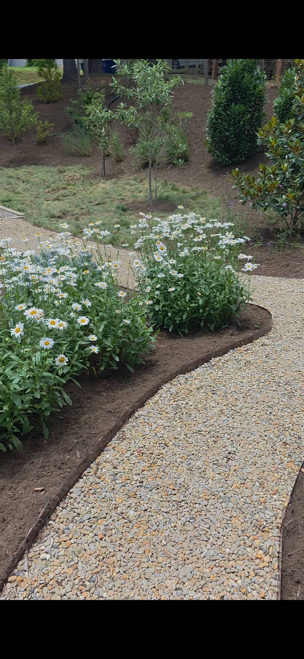 Curb Appeal: 3 Quick Upgrades to Elevate Your Property