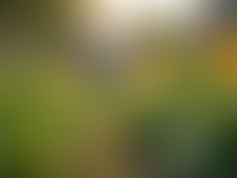 The Importance of Sustainable Living in Today's World