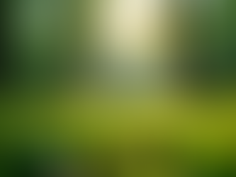 The Importance of Sustainable Living for Future Generations