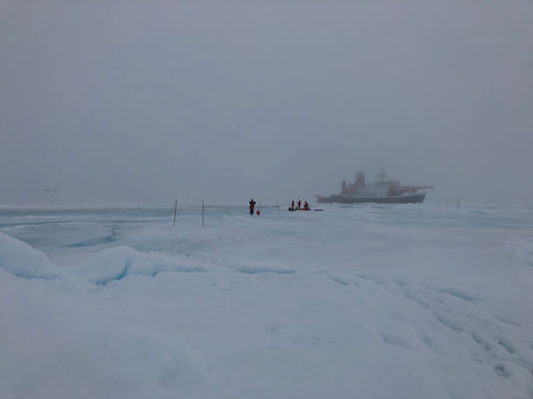 MOSAiC_a year in the Arctic_Allison Fong_9.jpeg