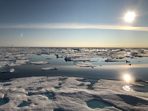 MOSAiC_a year in the Arctic_Allison Fong_27.jpeg