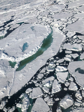 MOSAiC_a year in the Arctic_Allison Fong_13.jpeg